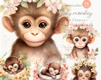 Clipart de mono bebé en acuarela: Imágenes PNG florales (uso comercial)