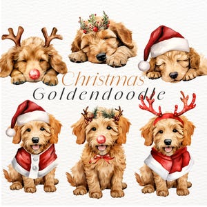 Clipart di Goldendoodle di Natale, Arte di Natale invernale, PNG Goldendoodle, Inviti per le vacanze - Download immediato - Uso commerciale