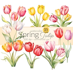Frühling Tulpe Clipart, Aquarell Tulpen, Bilder von schönen Frühlingsblumen - Instant Download - Kommerzielle Nutzung