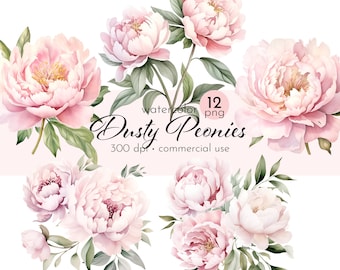 Dusty Pink Peonies Clipart: Summer Flower PNG Images (Commercial Use)