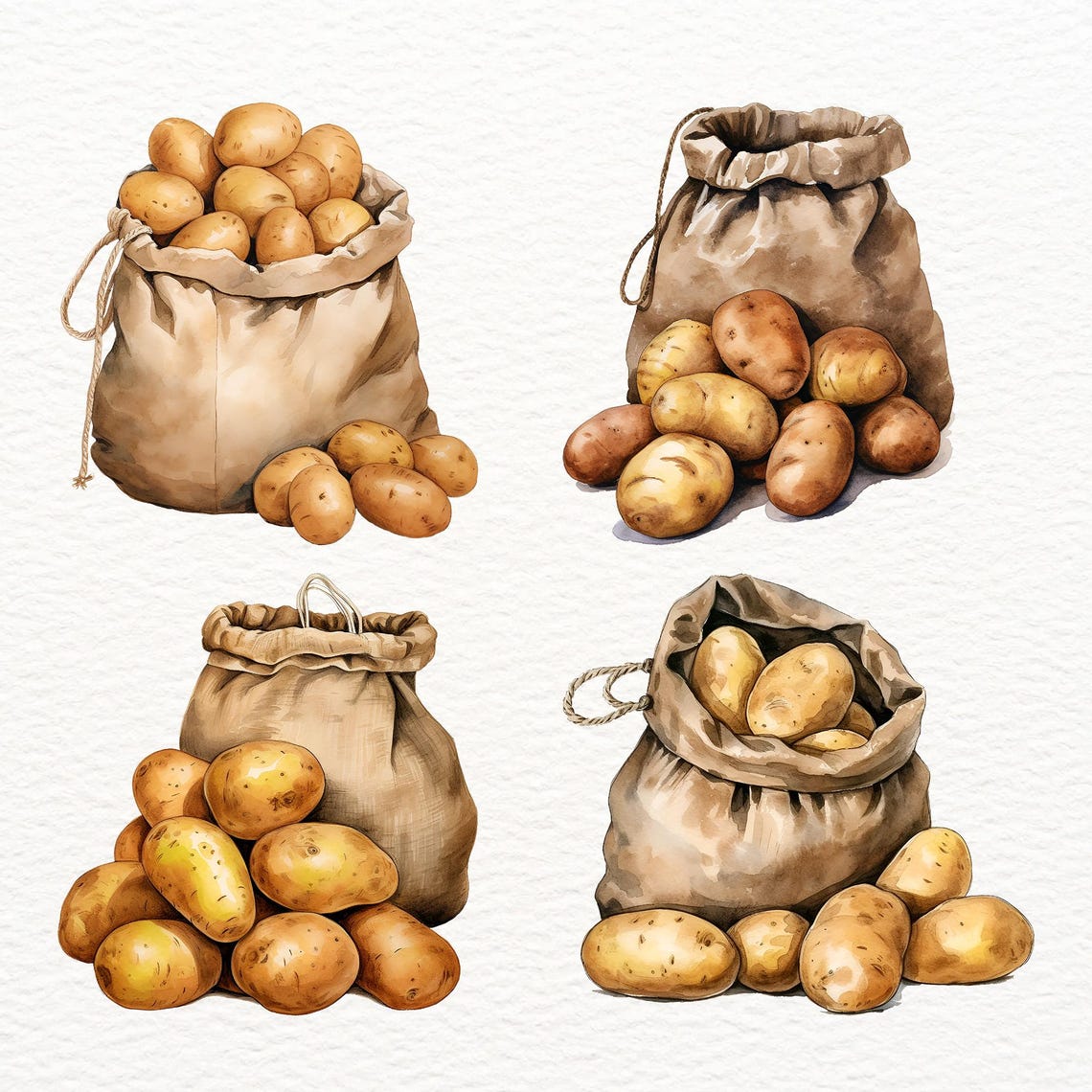 Watercolor Potato Clipart: PNG Vegetable Bundle (commercial Use) - Etsy