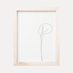 Calla Lily Line Art 1 | Digital Download | Minimalist Line Drawing | Printable Wall Art | Flower Drawing | Line Art Décor | PNG, JPG, EPS