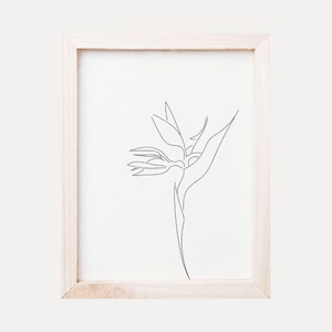Bird of Paradise Line Art | Digital Download | Minimalist Line Drawing | Printable Wall Art | Print | Flower | Line Art Décor | California