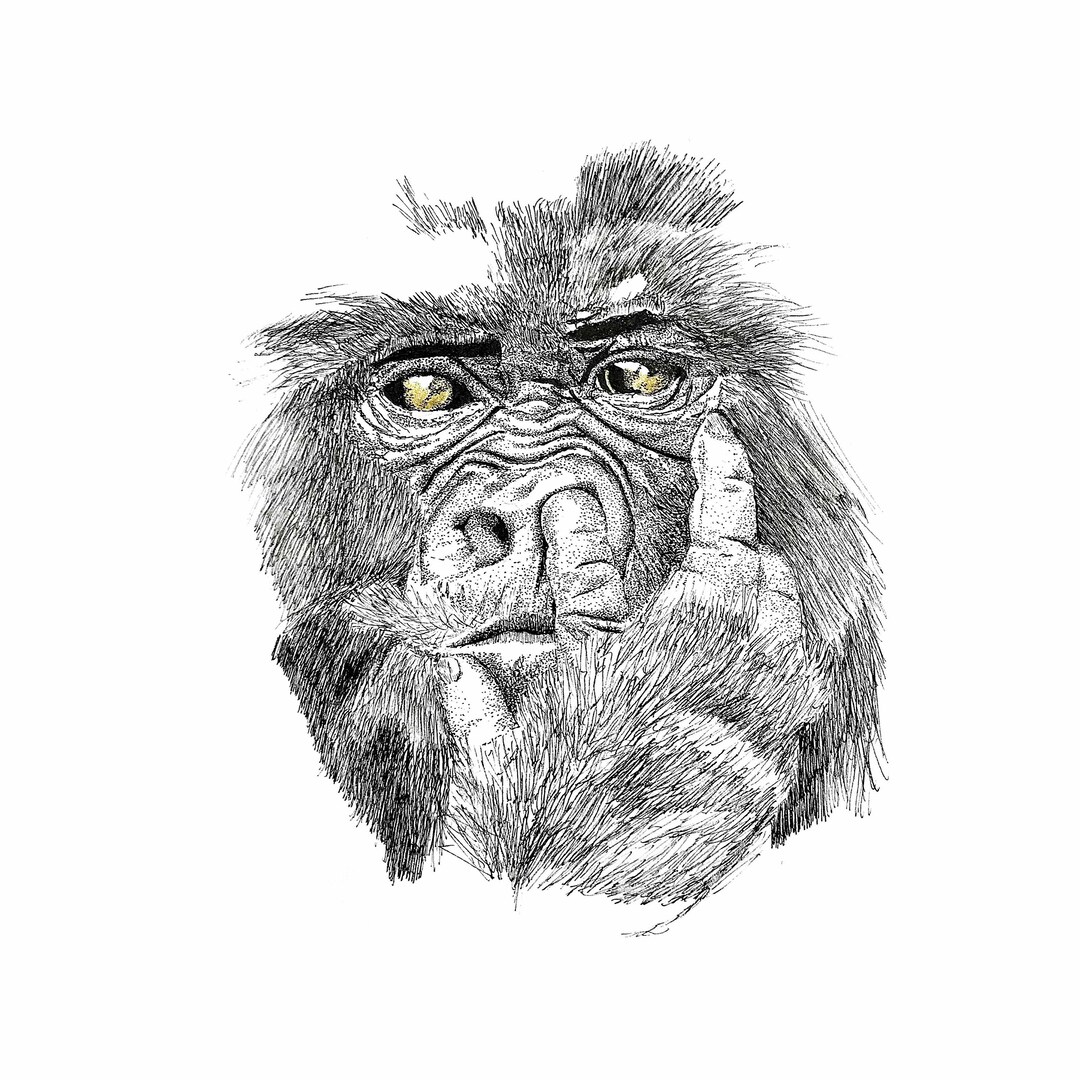 Fingers in the Nose A4 Ink Illustration Etsy