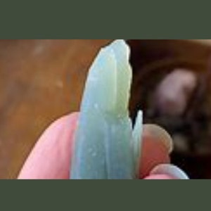 Seriphos green Quartz or Prase, chrysoprase, Kunzite, Ulexite thumbnail