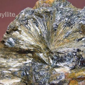 May include: A close-up of a rock sample with a radial pattern of light green and dark gray crystals. The rock is labeled "Anthophyllite".