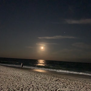 Harvest moon video