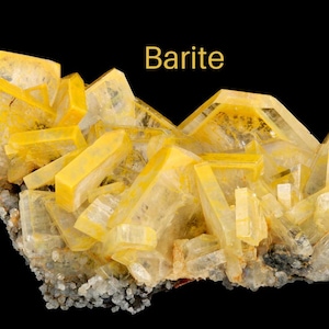 May include: A cluster of yellow barite crystals, also known as baryte, on a dark background. The crystals are translucent and have a glassy lustre. The word "Barite" is written in yellow text above the crystals.