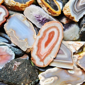 May include: A collection of agate slices in various colours and patterns, including grey, white, pink, and brown. The agate slices are arranged in a pile, with the word "Agate" written in black letters on the top of the pile.