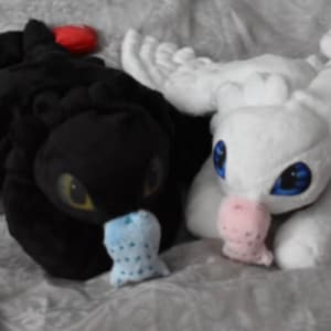 Toothless & White Fury Beanie Plush Pattern and Instructions HTTYD Plush Plushies with Magnet Fishie image 2