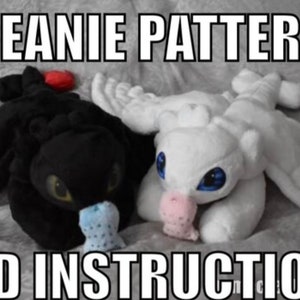 Toothless & White Fury Beanie Plush Pattern and Instructions HTTYD Plush Plushies with Magnet Fishie image 1