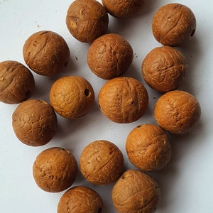 14mm 54 Bodhi Seed Phoenix eye beads & one 3 eye guru bead // Bodhiseed Buddhachitta // for DIY mala/necklace