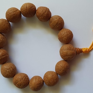 Reine Natur Bodhi Samen Phoenix Auge 15-17 mm Bodhiseed Bodhi Samen Buddhachitta Healing Armband Handgelenk Mala