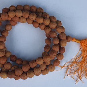Rare 3 eye Pure Bodhi Seed mala beads•Only found in Nepal• Pure Natural• 14-15mm Bodhiseed Buddhachitta • Prayer Mala Beads•