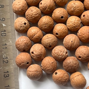 11-15mm phoenix Eye  loose Bodhi seed Buddhachitta Beads DIY for mala, bracelet,necklace