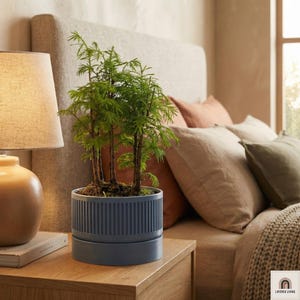 Modern Indoor Planter, 3D Printed Minimalist Plant Pot Self Draining
