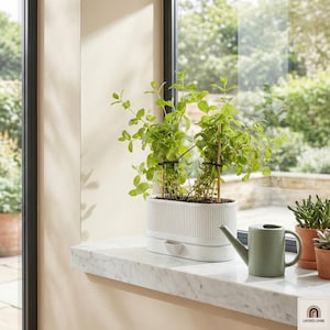 Maceta de autorriego, maceta de interior impresa en 3D, depósito extraíble, diseño minimalista moderno