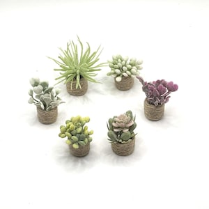 May include: A selection of miniature artificial succulents in small woven pots. The plants are in shades of green and purple. The pots are arranged in a circular pattern against a white background.