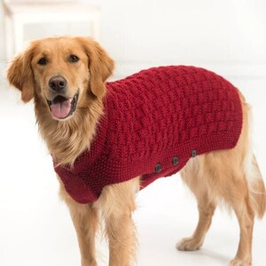 Small Dog Sweater, Dog Christmas Sweater, Custom Dog Sweater, Wool Dog