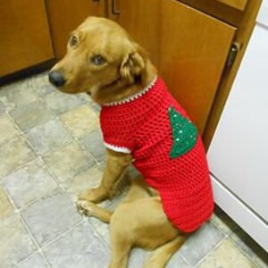 Small Dog Sweater, Dog Christmas Sweater, Custom Dog Sweater, Wool Dog