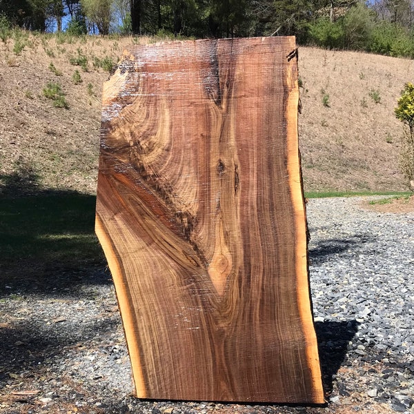 Black Walnut Live Edge slab, 48”L x 2” thick.