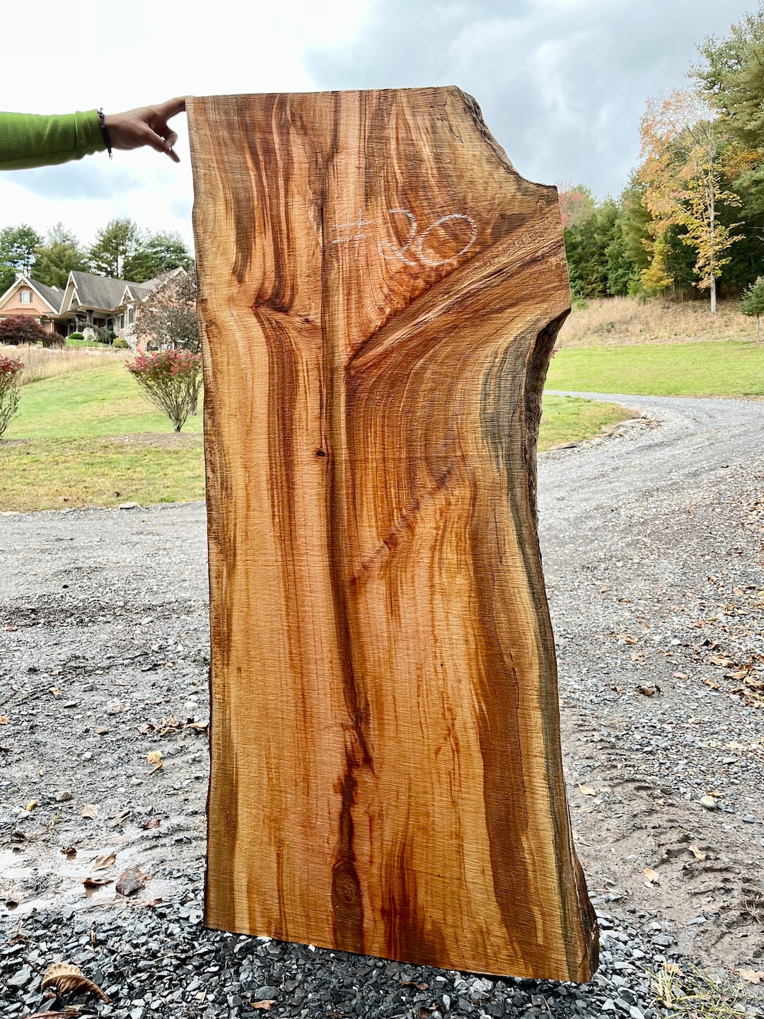 Sycamore Live Edge Slab 20 Etsy
