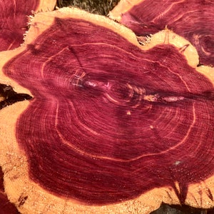 Red Cedar wood cookie slices 8-10” diameter, sanded one side. Aromatic and beautiful colors!