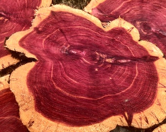 Red Cedar wood cookie slices 8-10” diameter, sanded one side. Aromatic and beautiful colors!