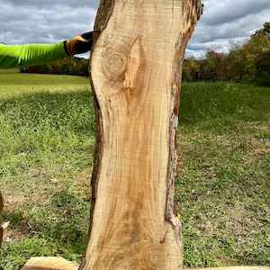Sycamore live edge slab #10