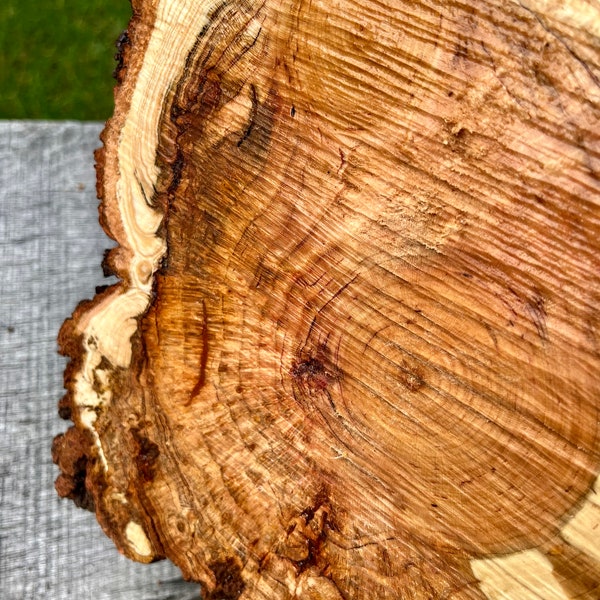 Burl Wood Decor - Etsy