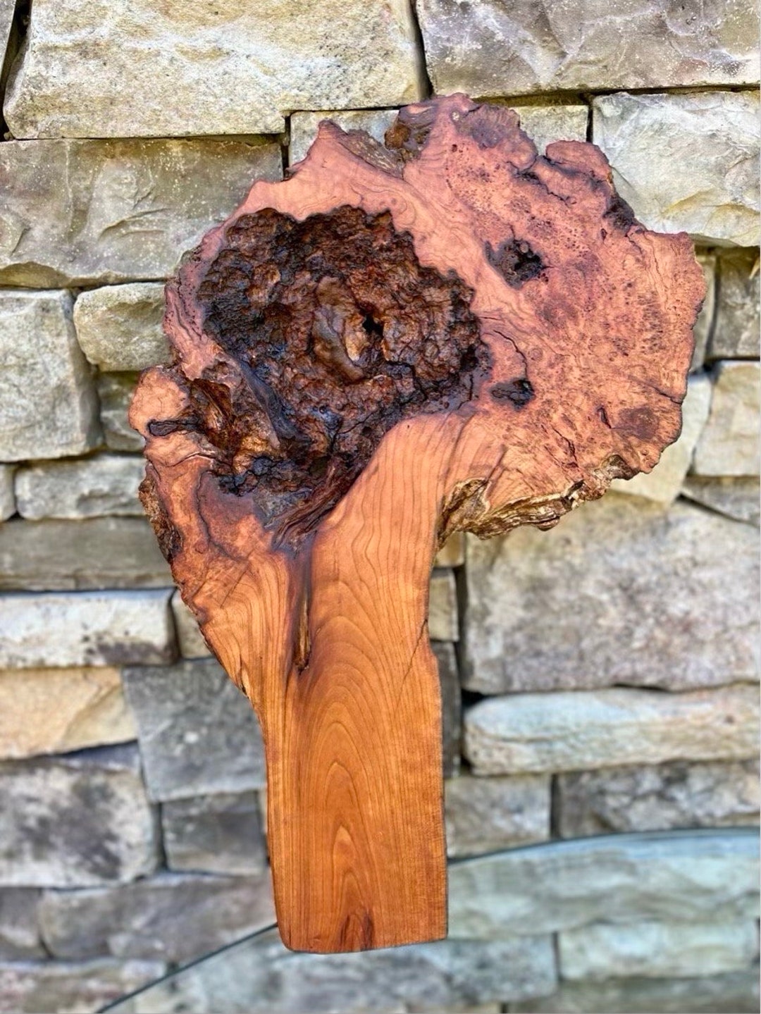 This Cherry Wood Burl Slice Has Aged for Years! - Etsy