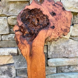 This Cherry Wood burl slice has aged for years!
