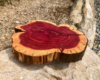 Red Cedar wood cookie slices 10-12 in diameter, sanded one side. Aromatic and beautiful colors!