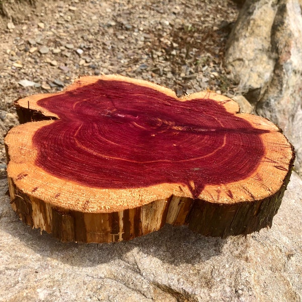 Bulk Wood Slices Etsy