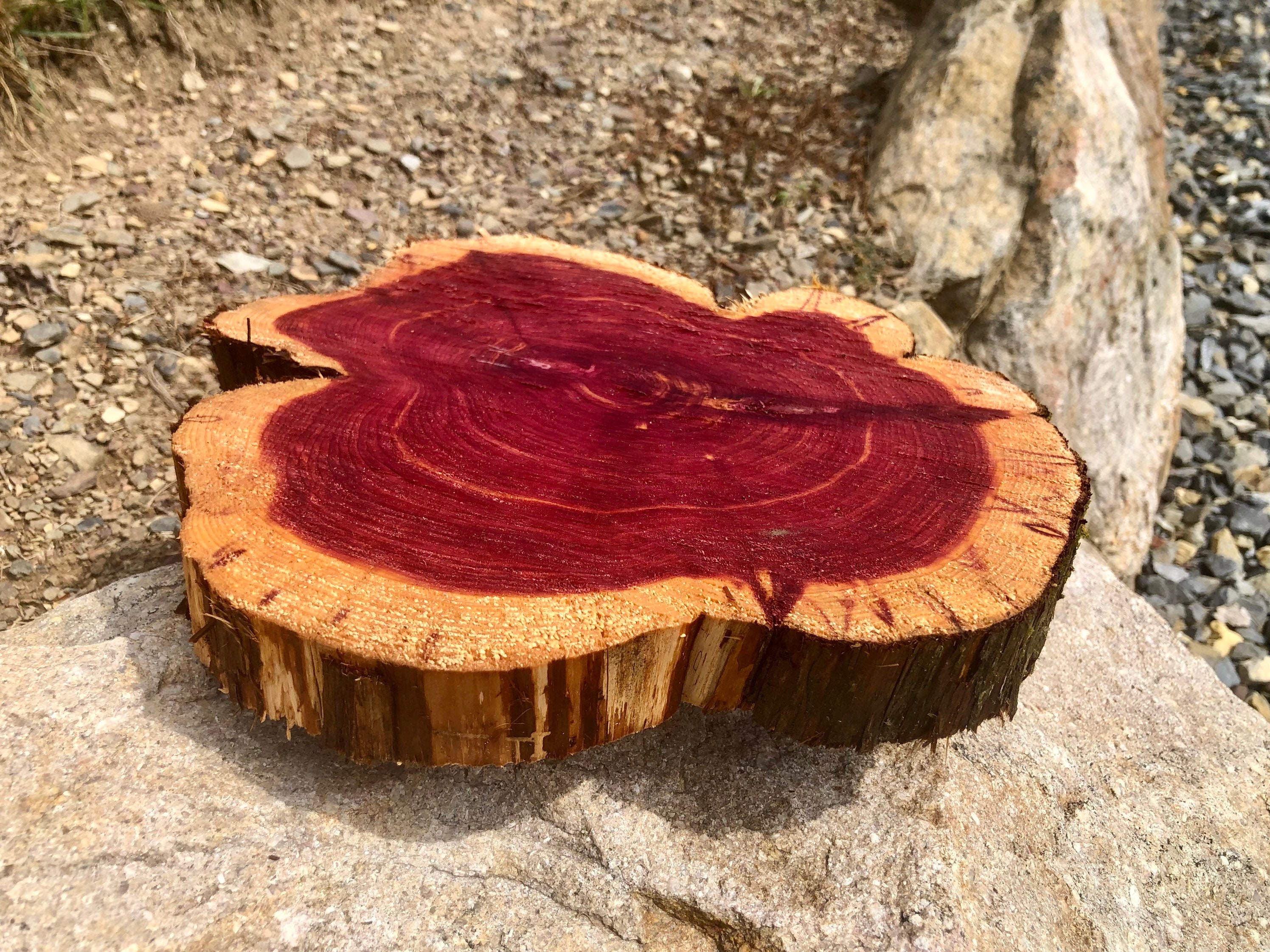 Just throwing linseed oil on some red cedar scraps I had : r