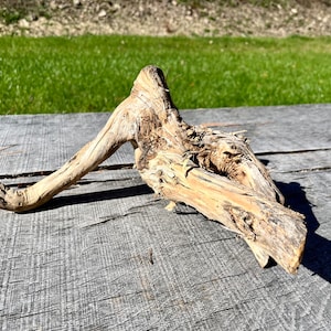 Tree root sculpture log branch stump piece , fairy gardens , jewelry , candle holder