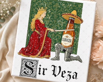 Sir Veza Knight Pun Meme Sombrero Cinco De Mayo Png