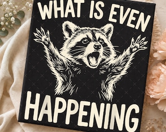 What Is Even Happening Png, What Is Even Happening Raccoon Png, What Is Even Happening Png, Raccoon Png, Raccoon Png, Funny Raccoon Png