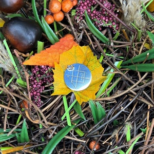 May include: A silver circular pendant with a geometric design, surrounded by fall foliage, including orange leaves, brown twigs, and green grass.