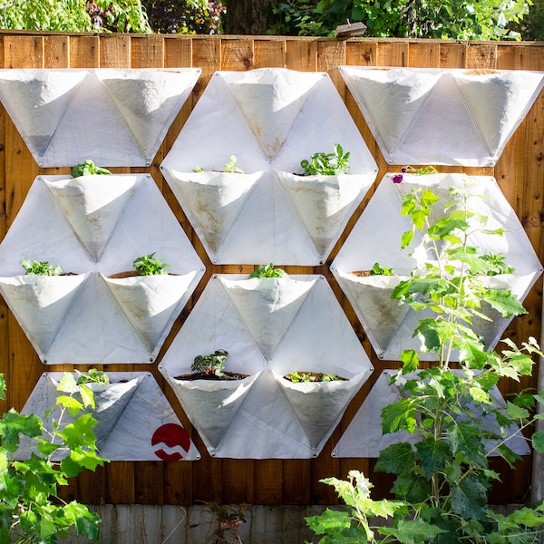 Mylio | Repurposed sail cloth wall planter/vertical garden | Full set designed to cover a standard fence panel
