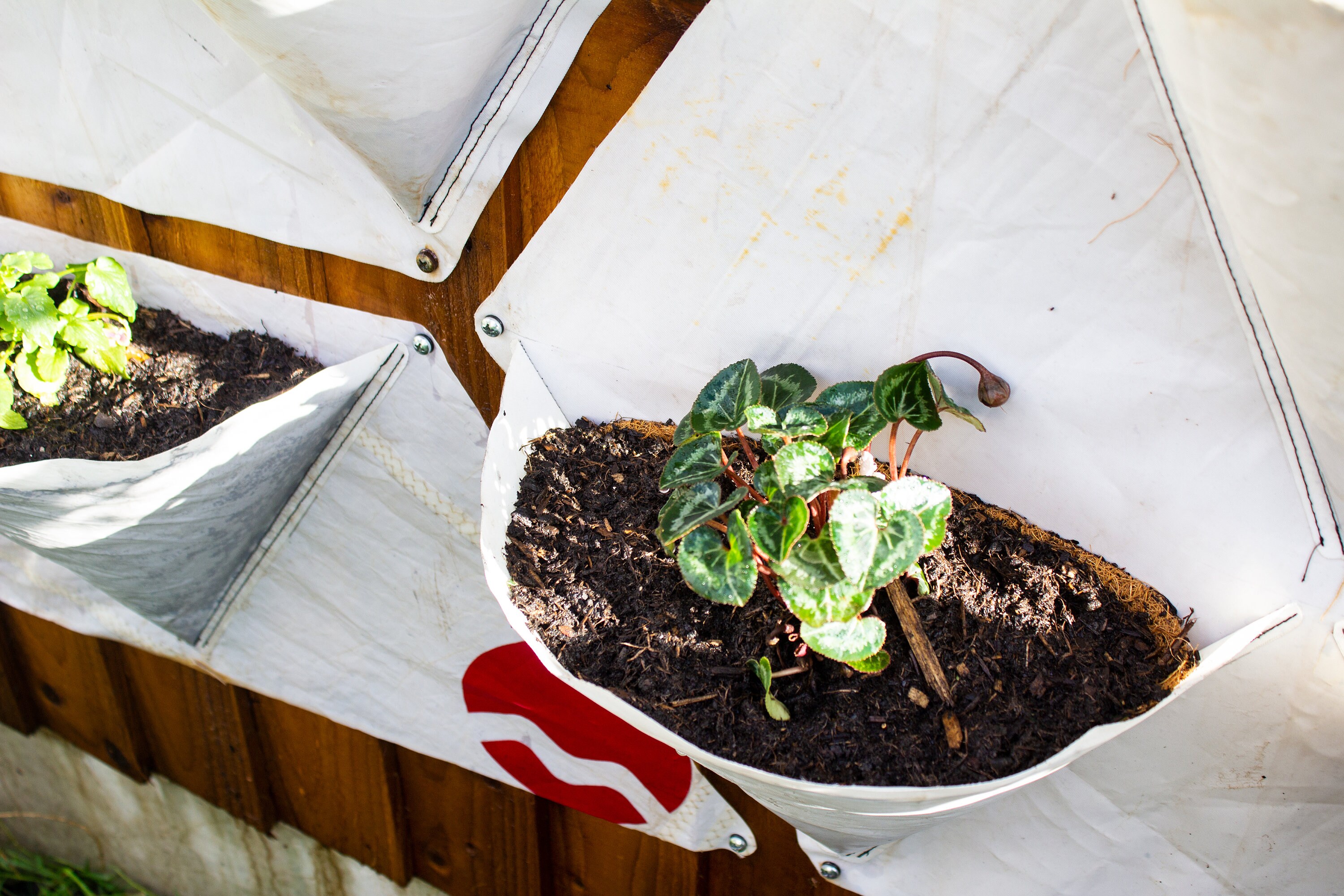 Mylio Repurposed Sail Cloth Wall Planter/vertical Garden Etsy UK