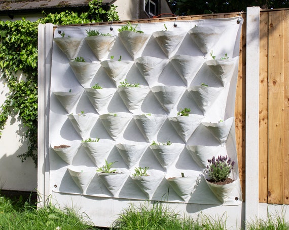 Verte Make at Home Wall Planter/vertical Garden Etsy