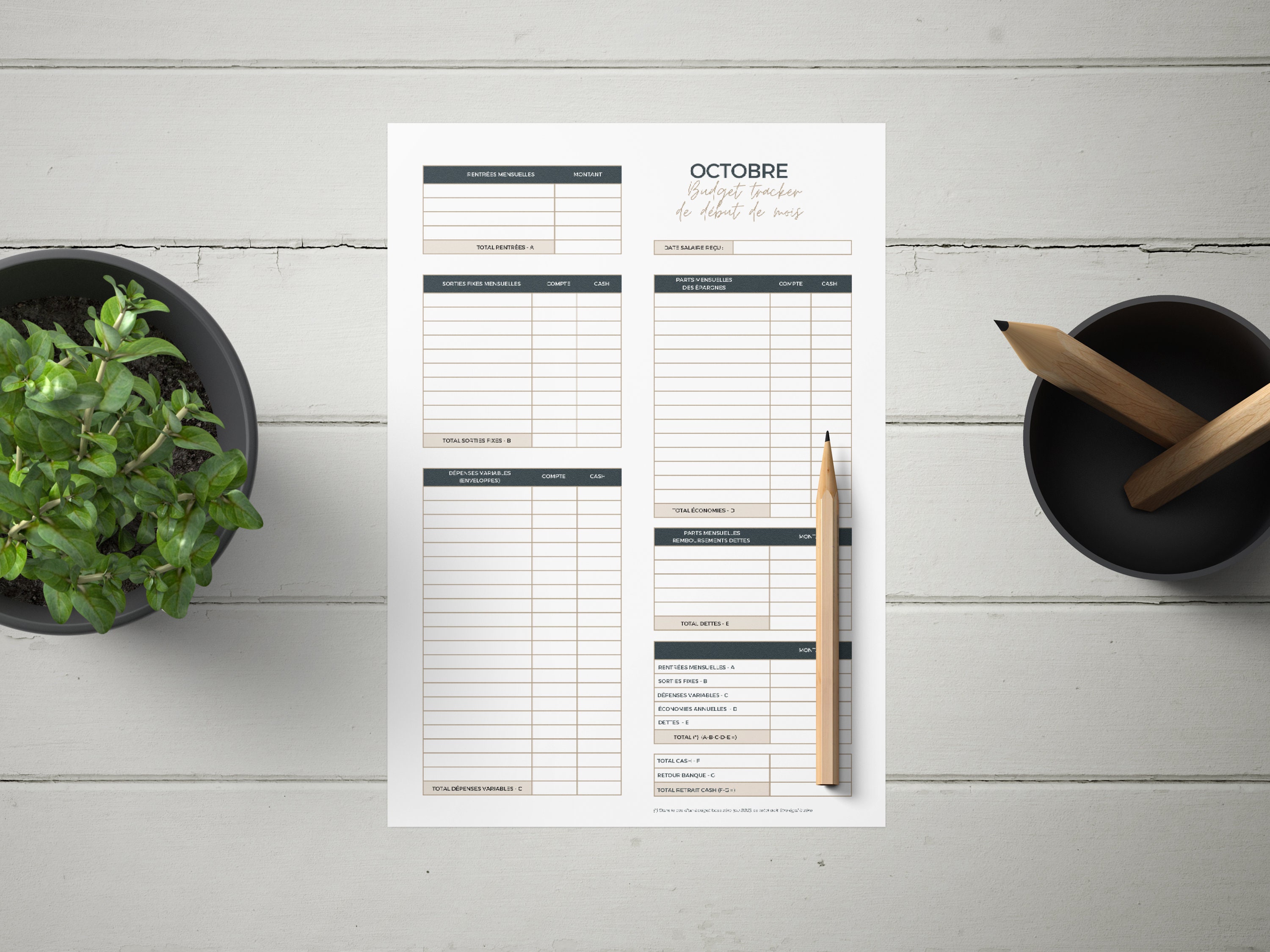 12 Fiches budget mensuel + Page de garde | PDF A4 A IMPRIMER