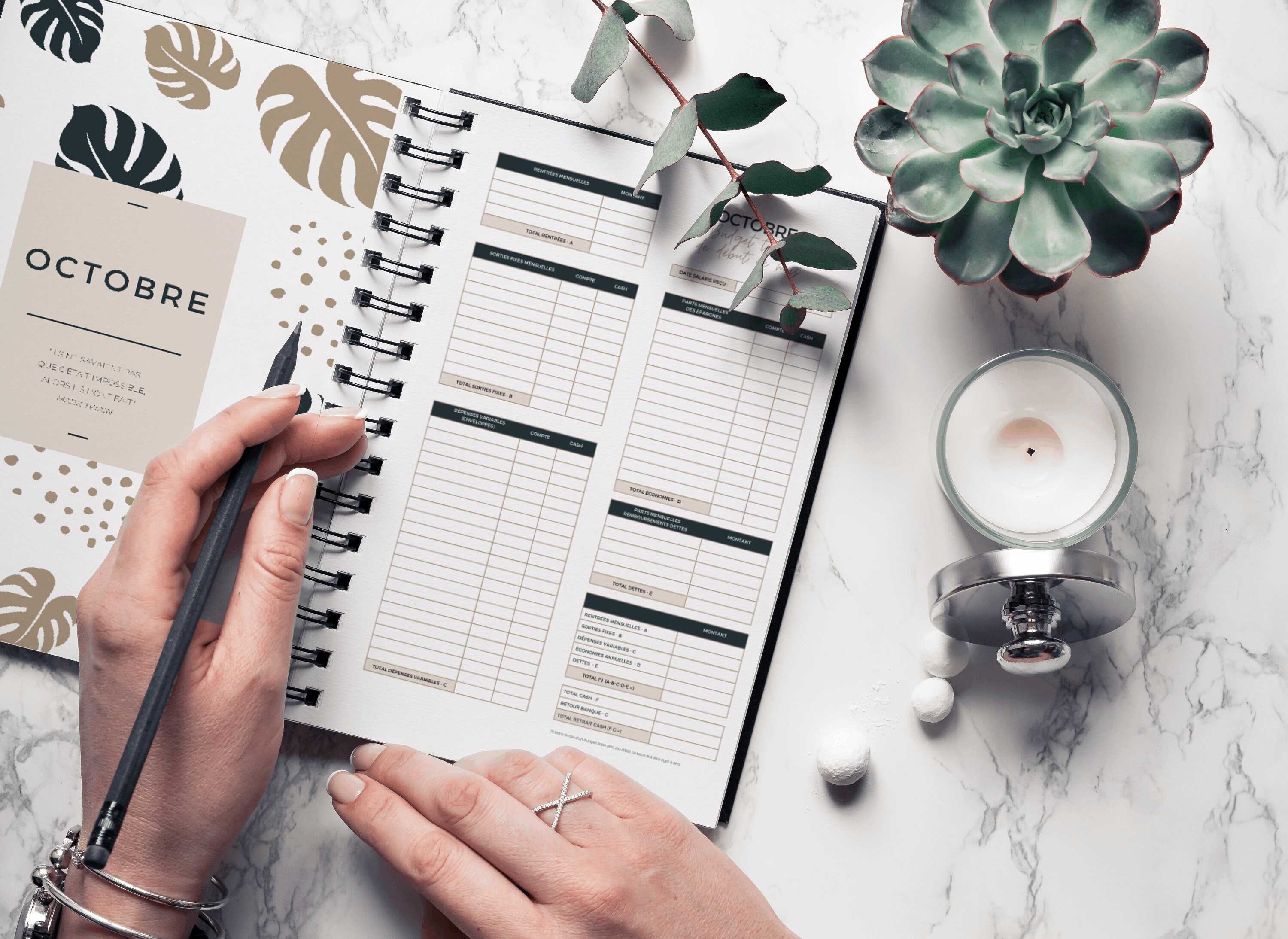 12 Fiches budget mensuel + Page de garde | PDF A4 A IMPRIMER