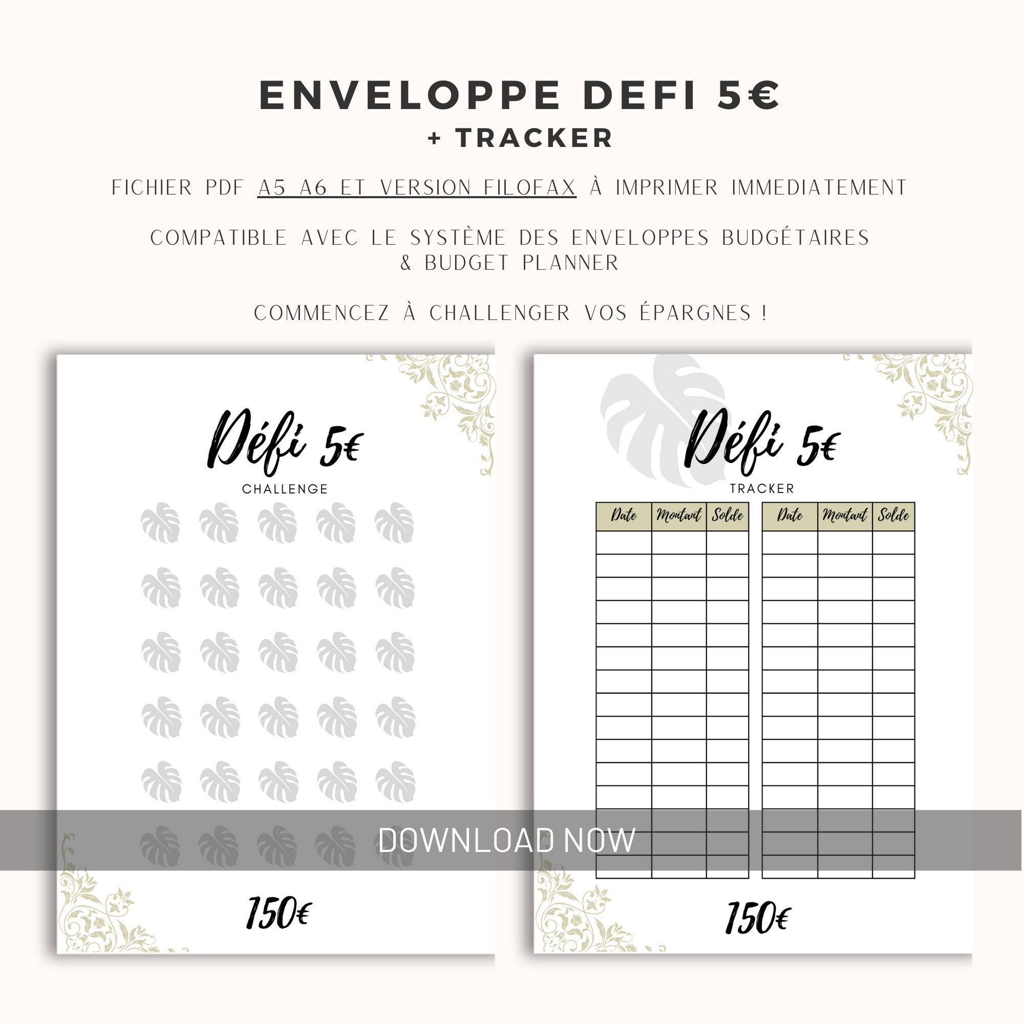 Challenge 5 Euros and Budget Tracker, PDF TO PRINT A5 A6 Filofax, Envelopes  and Budget Binder 