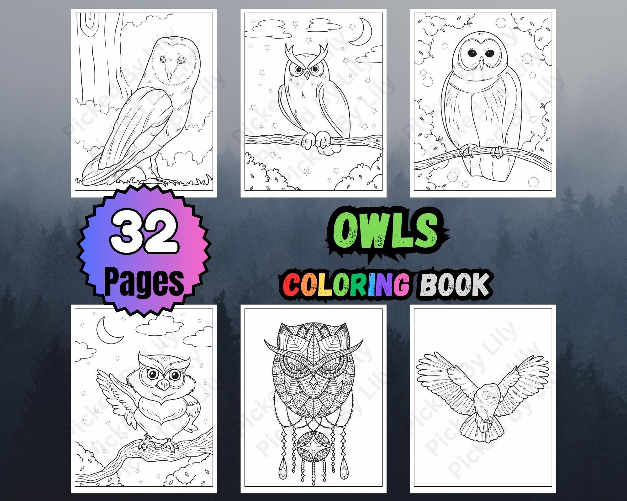 Owls Coloring Book: 32 Pages Kids Activity (PDF Download)