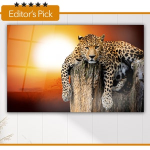 Glass Wall Art - Leopard - House Warming Gift - Interior Design Ideas - Home & Office - Leopard Sitting On a Tree