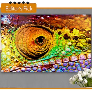 Glas Wandkunst - Bunter Reptilienauge Nahaufnahme Kopfteil von Chamäleon - Wohndekoration Geschenk- Inneneinrichtung Ideen- Home & Büro Dekoration