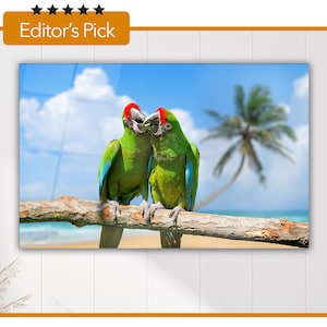 Glass Wall Art - Parrot (Severe Macaw) On The Sand Beach Blue Sky - Housewarming Gift - Interior Design Ideas - Home & Office Decoration