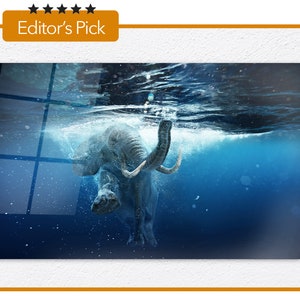 Glass Wall Art - Swimming African Elephant Underwater - Housewarming Gift - Interior Design Ideas - Home & Office Decoration
